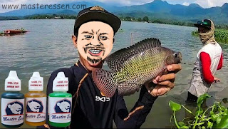 Essen Untuk Ikan Nila