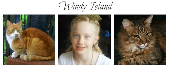 Windy Island