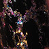 Cracked Glitter Bomb