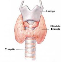 tireoide