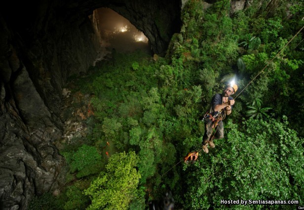 Son Doong Cave Forest