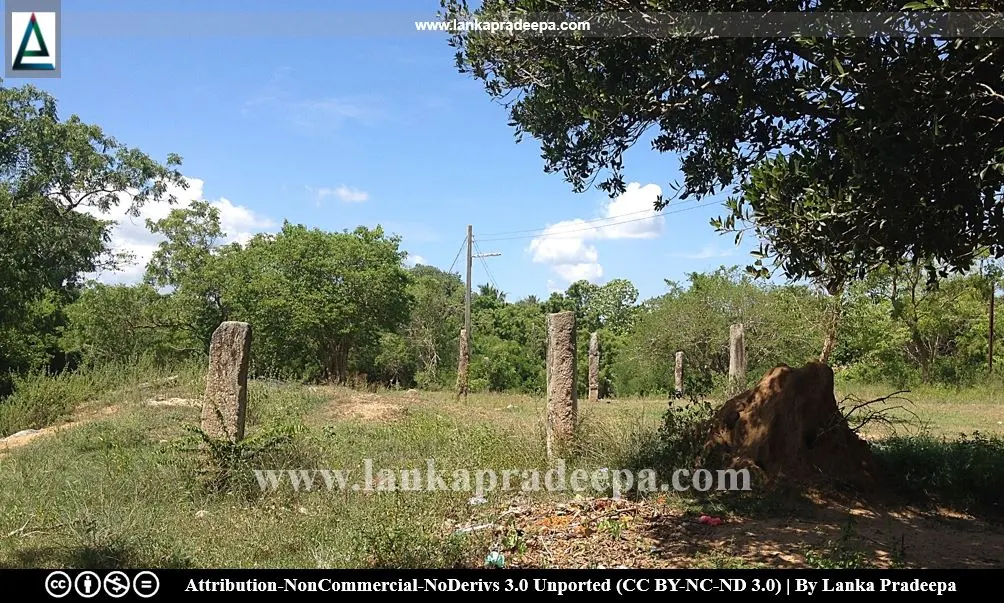 The stone pillars are surrounding an earth mound, probable Stupa, Galmaduwa temple, Ampara