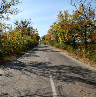 Straight road with autumn colours