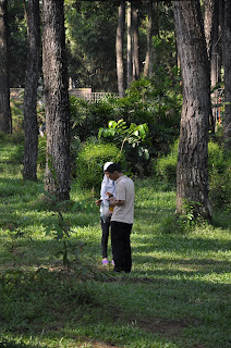 hutan wisata punti kayu