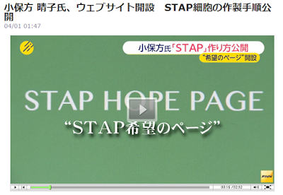     小保方 晴子氏、ウェブサイト開設　STAP細胞の作製手順公開