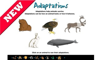 http://interactivesites.weebly.com/animal-adaptations.html