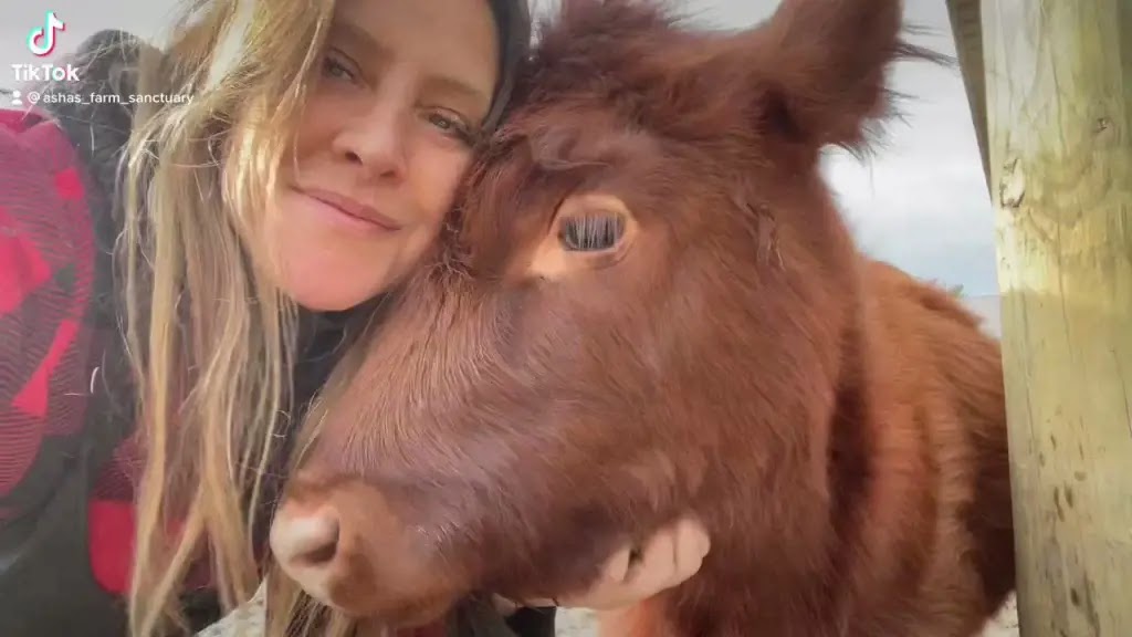 Who Is Tracy Murphy From Asha Farm Sanctuary & What Was She Arrested For? - CNN59