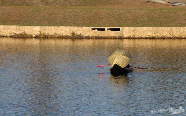 lago, barco