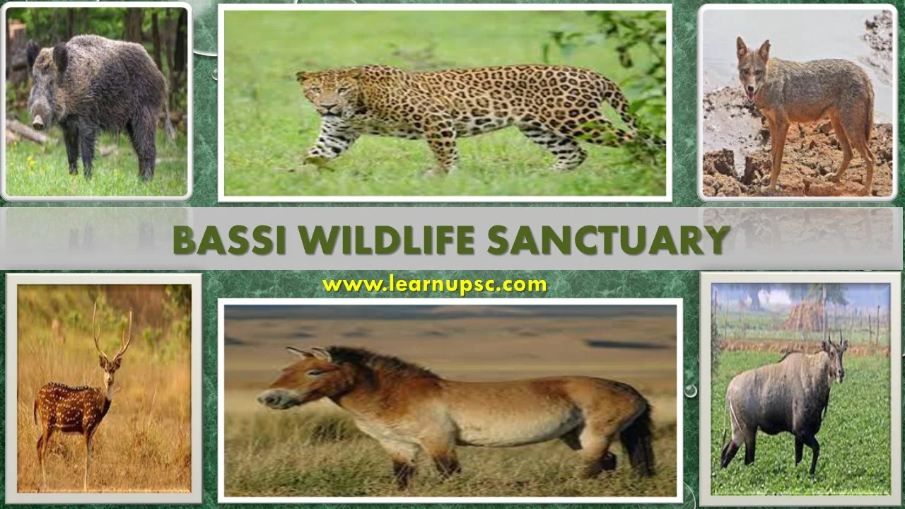 Bassi Wildlife Sanctuary