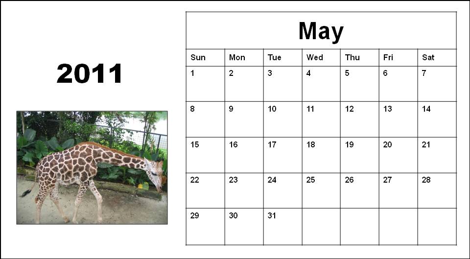 2011 calendar printable may. 2011 calendar printable may.