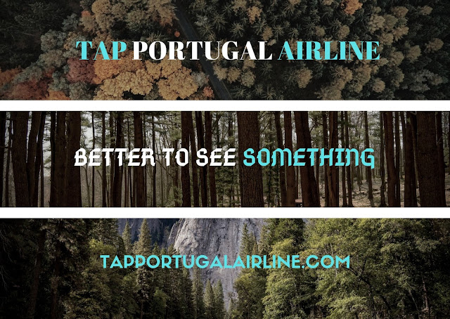 Tap Portugal Airline