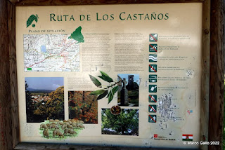 ROZAS DE PUERTO REAL - RUTA DE LOS CASTAÑOS. Madrid, España