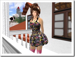 Tvd_20090415a_008