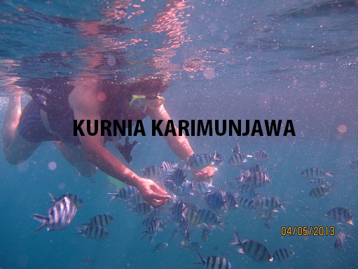 tour di karimunjawa