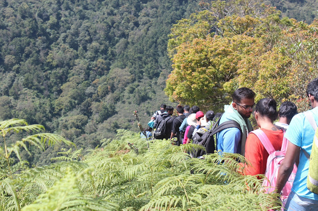 Munnar Kerala Hillstation