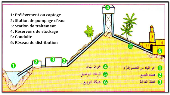 L’APPROVISIONNEMENT EN EAU POTABLE TcL Biof