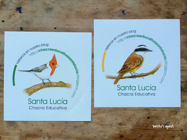 Native birds stickers by betitu