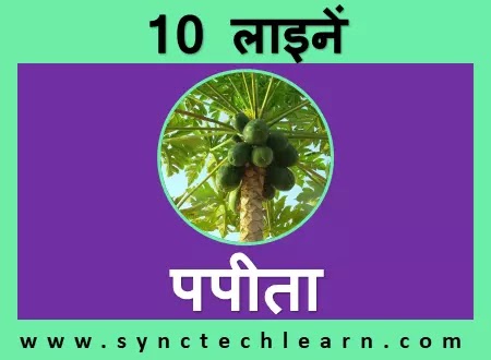 short nibandh on papaya in hindi