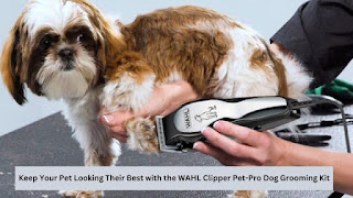 Save Time and Money with the WAHL Clipper Pet-Pro Dog Grooming Kit