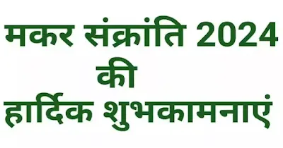 Makar Sankranti Festival: मकर संक्रांति कैसे मनाई जाती है?