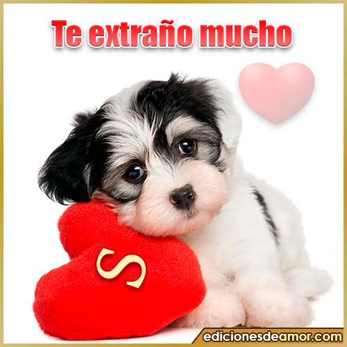 perrito con corazón S