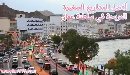 افضل المشاريع الصغيرة المربحة في سلطنة عمان