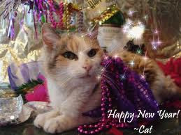 cat wallpaper for new year