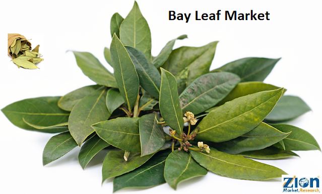 Global Bay Leaf Market Size