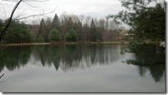 Woodland1