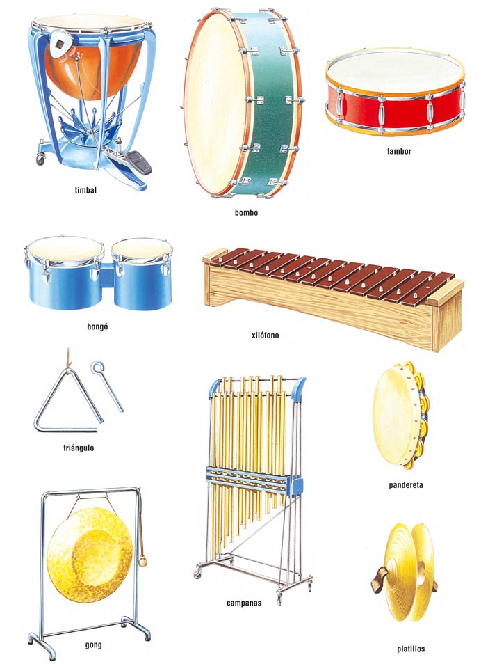 INSTRUMENTOS DE PERCUSIÓN