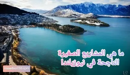 ما هي المشاريع الصغيرة الناجحة في نيوزيلندا