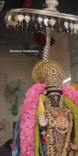 Garuda Vahanam,Ekantha Sevai, Purappadu,Yeasal,Video, Divya Prabhandam, Brahmotsavam,Sri Parthasarathy Perumal,Chithirai, Triplicane,   Thiruvallikeni, Utsavam