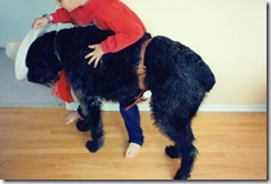 Boris at Halloween with Benj