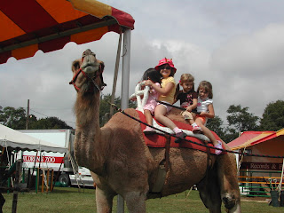 Camel Ride