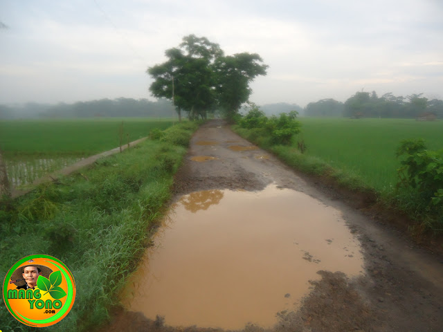 Ruas jalan dari Cidadap menuju Rumah admin.