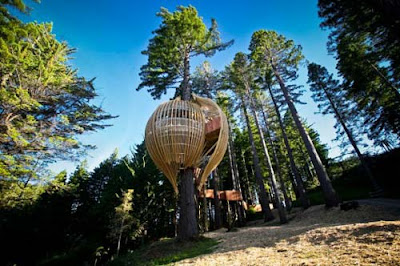 Yellow Treehouse Restaurant Australia Pacific Environments Architects