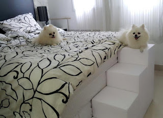 escadas para cães camas altas