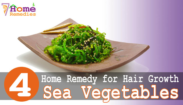 Sea vegetables reach in fiber