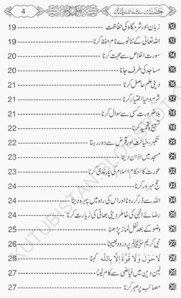 contents of Jannat Me Le Janay Walay 40 Amal Pdf Urdu Book