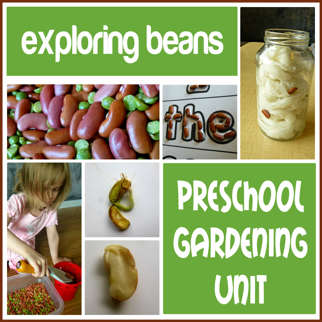 Preschool Garden Craft Ideas Photograph Gardening Ideas Fo