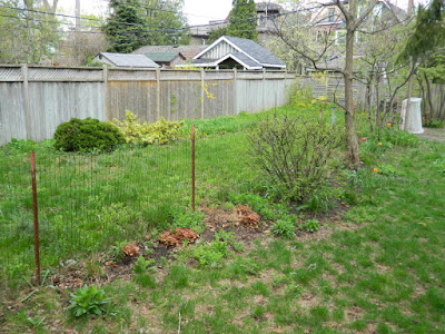 Riverdale Spring Cleanup Backyard Garden Before by Paul Jung Gardening Services--a Toronto Gardening Company
