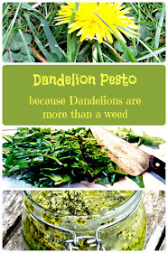 Dandelion Pesto - Because Dandelions are more than just a weed! 