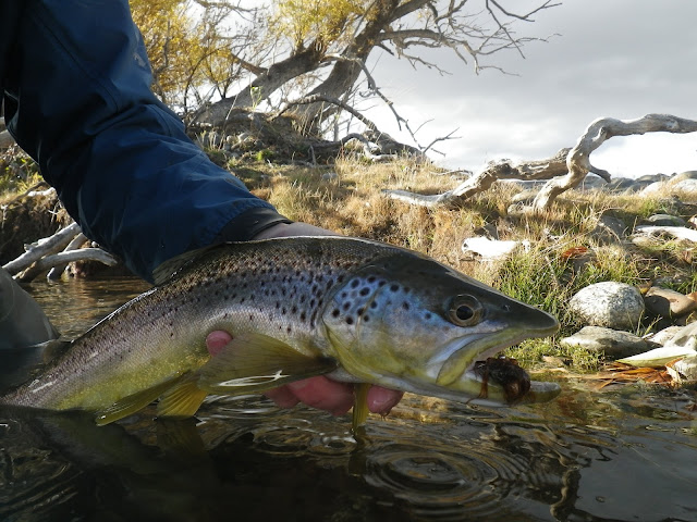 Fly Fishing Patagonia Argentina: What Month's are Best To Fish?