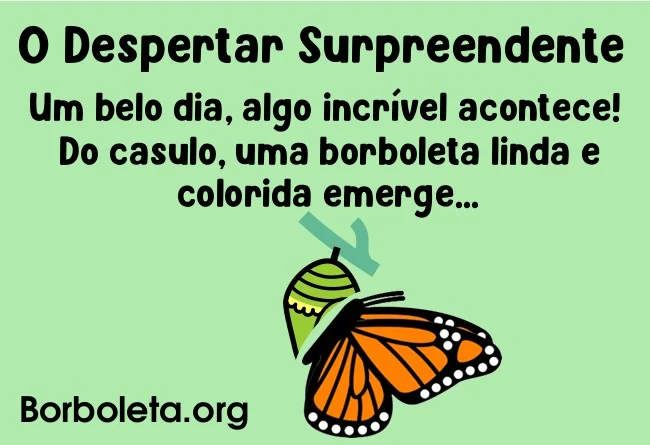 Ciclo de vida da borboleta educação infantil O despertar surpreendente