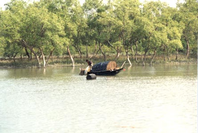 Somewhere in Sundarban a boat, Bangladesh