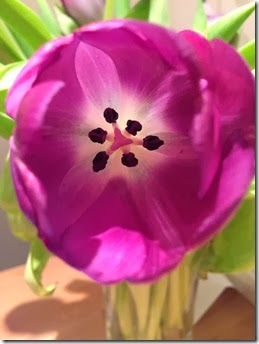 2014-02-27 00.36.54