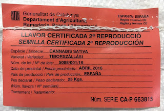 etiqueta semilla certificada cáñamo industrial