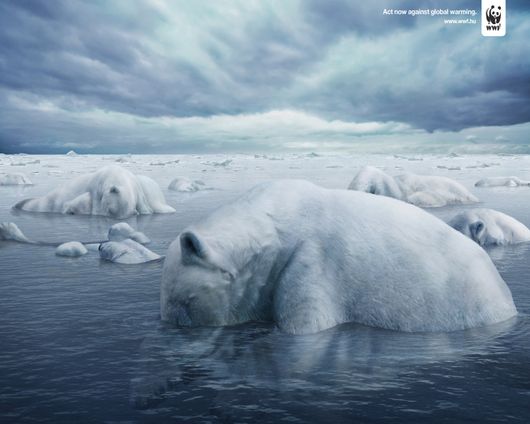 20 Creative Warning for Global Warming