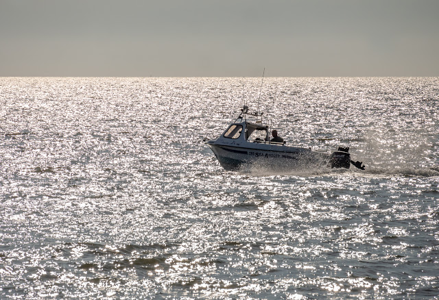 Photo of one of the other boats on the Solway Firth on Sunday