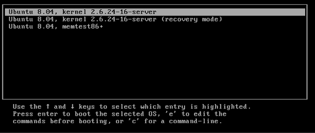 Image showing Metasploitable kernel settings.